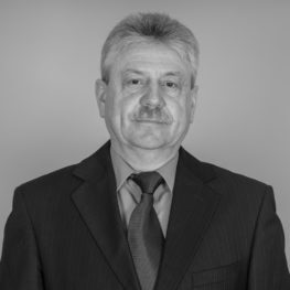 Jevgenijus Toldinas